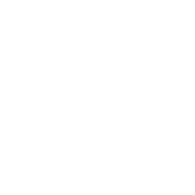 icon visual wt